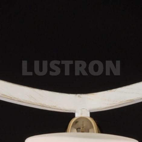 Потолочная люстра Maytoni Eurosize 6 TOC006-03-G