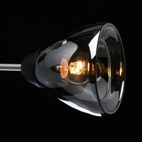 Потолочная люстра MW-Light Вита 220012503