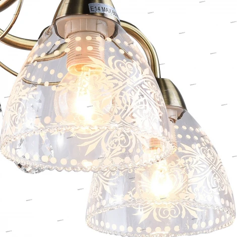 Потолочная люстра Arte Lamp Rugiada A1658PL-5AB