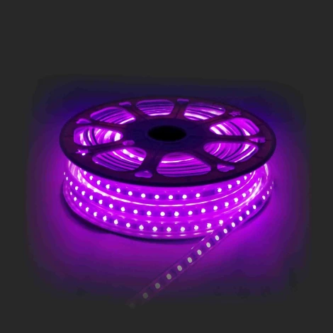 Светодиодная лента 220В 12Вт/м SMD5050 60д/м IP65 белый шнур ПВХ с прозрачным рассеивателем 16х7мм, 15м с аксессуарами, RGB Apeyron 10-51