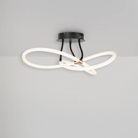 Потолочная люстра светодиодная Freya Fancy FR6059CL-L35B