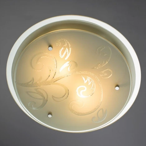 Потолочный светильник Arte Lamp Sinderella A4865PL-2CC