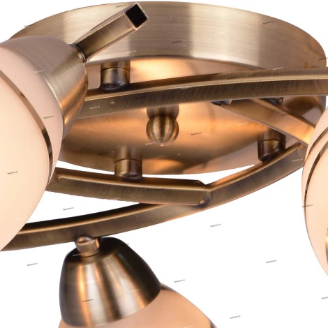 Потолочная люстра Toplight Polly TL3720X-05AB