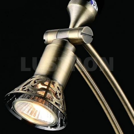 Подсветка для картин Maytoni Levitan PIC122-01-R