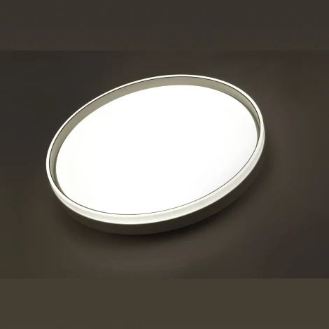 Настенно-потолочный светильник Sonex Savi 7631/DLN пластик/светло-серый LED 48Вт 3000/4000/6000K