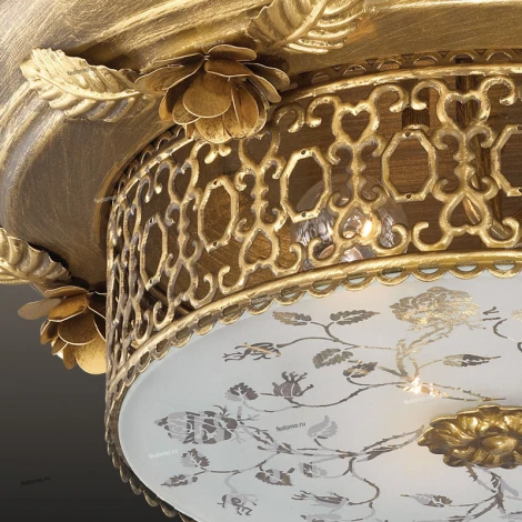 Потолочный светильник Odeon Light Capua 2642/3C