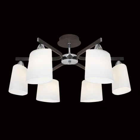 Потолочная люстра Citilux Astra CL138161