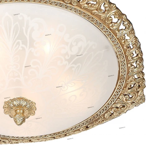 Потолочная люстра L'Arte Luce Linosa L16754.08