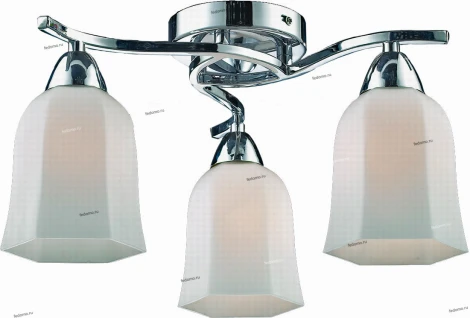 Потолочная люстра Lussole Bellaria LSC-8807-03