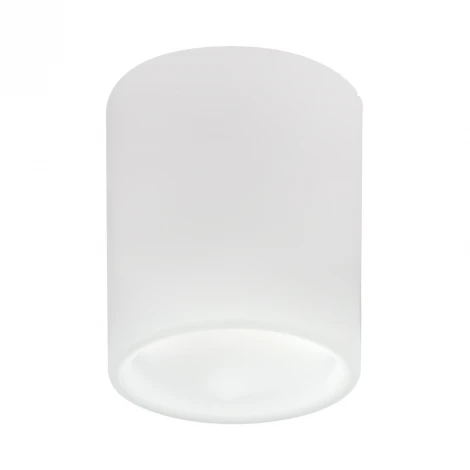 Накладной светильник Lightstar Solido E27 216626
