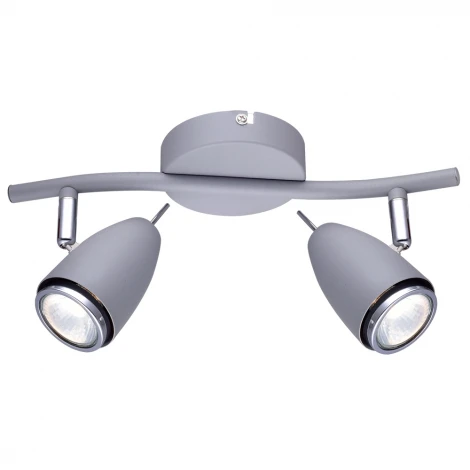 Спот на штанге Arte Lamp Regista A1966AP-2GY (220V, круглые)