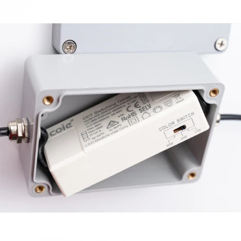 Потолочный светильник уличный Favourite Riga 4862-2U LEDx18W 3000/4000/6500K