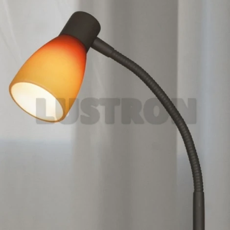 Интерьерная настольная лампа Lussole Raccolana LSQ-8504-01