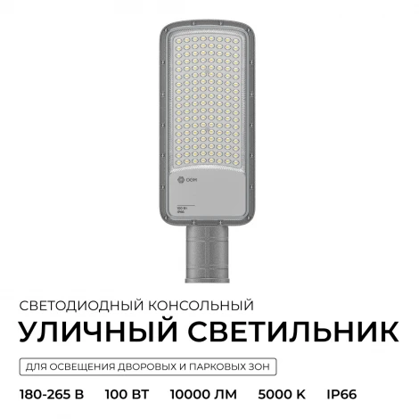 Уличный консольный светильник светодиодный 100Вт 10000лм 5000К IP66 КСС "Ш" серый OGM O29-02