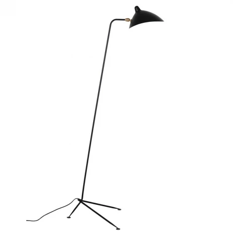 Торшер L'Arte Luce Spider L05641