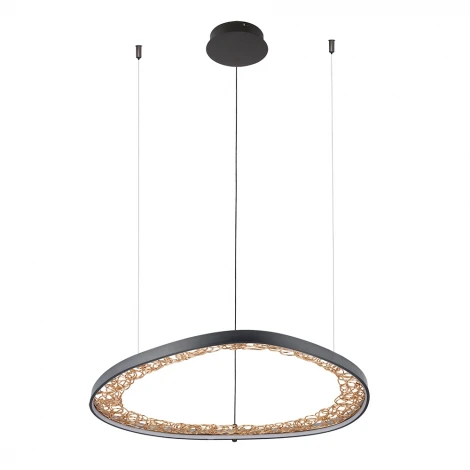 Подвесной светильник Arte Lamp Cinta A1847SP-46BK (LED, 220V, на тросе)