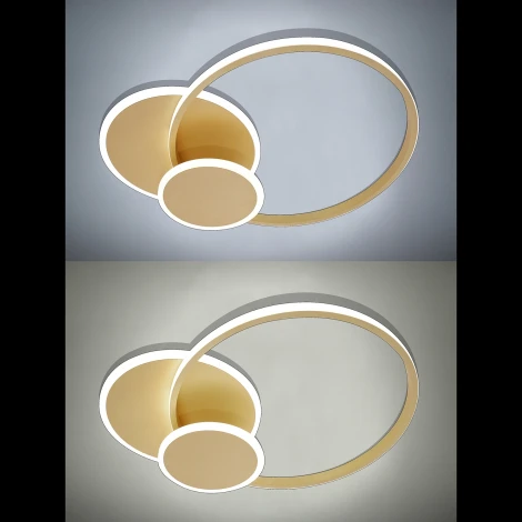 Потолочная люстра Natali Kovaltseva LED LAMPS 81306