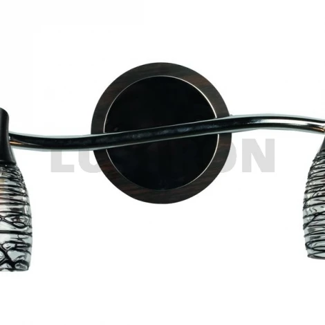 Спот Omnilux Radstock OML-23401-02
