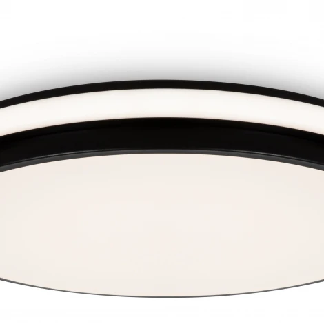 Потолочный светильник светодиодный Freya Pie FR6086CL-L117B 96Вт LED с пультом ДУ
