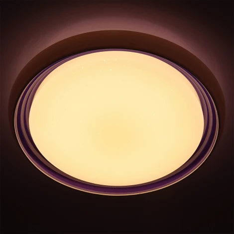 Потолочный светильник MW-Light Ривз 674011701