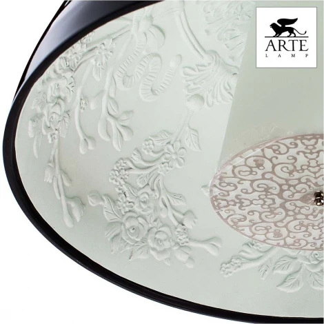 Подвесной светильник Arte Lamp Rome A4175SP-1BK