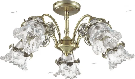 Потолочная люстра Lumion Eloisa 3450/5C