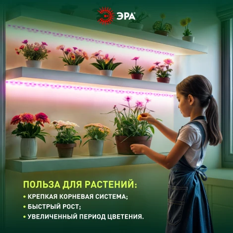 Светодиодная лента для растений 12V 3м ЭРА FITO-Strip Light-RB-27W-3m-12V-IP65