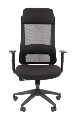 Офисное кресло Chairman 500LT Россия ткань T черный/TW-01 черный 7187915