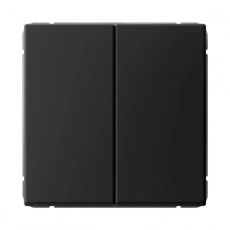 Выключатель двухклавишный (карбон) Systeme Electric GAL001017S