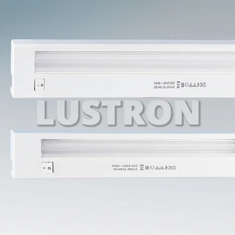 Точечный накладной линейный светильник с выключателем Lightstar TL2005 311132