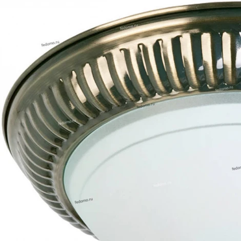Потолочный светильник Toplight Dora TL5040Y-02AB