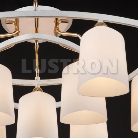 Потолочная люстра Maytoni Eurosize 6 TOC006-09-G