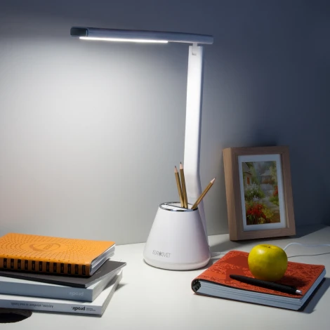 Офисная настольная лампа Elektrostandard Office 80421/1