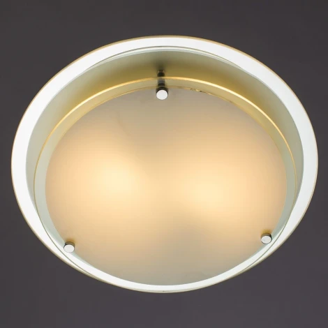 Потолочный светильник Arte Lamp Rapunzel A4867PL-2CC