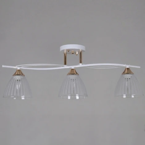 Потолочная люстра на штанге Reluce 73460-0.3-03 WH+FG