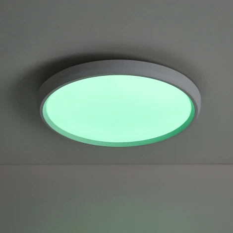 Потолочный светильник светодиодный Freya Obelle FR6211CL-L24W Obelle 24Вт LED