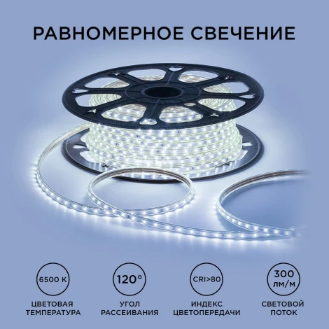 Светодиодная лента 220В 5Вт/м SMD2835 60д/м IP65 300лм/м 50м 6500К OGM O17-03
