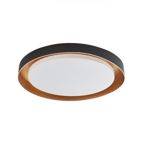 Потолочный светильник круглый светодиодный Arti Lampadari Vista Vista L 1.13.48 B (220V, круглые)