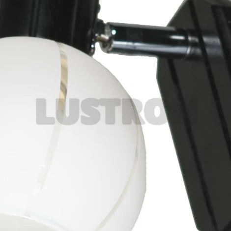 Спот Lussole Mara LSL-8901-01