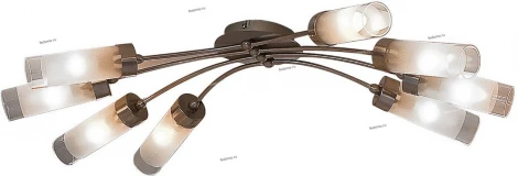 Потолочная люстра Citilux Ovale CL102181