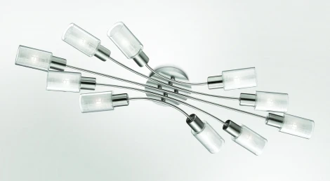 Потолочная люстра Odeon Light Hales 2613/10C