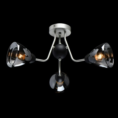 Потолочная люстра MW-Light Вита 220012503