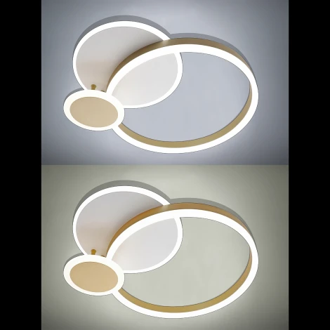 Потолочная люстра Natali Kovaltseva LED LAMPS 81303