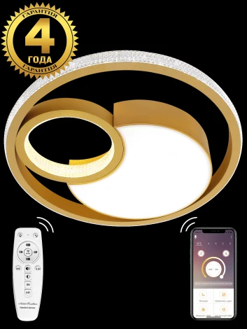 Потолочная люстра Natali Kovaltseva LED LAMPS 81316