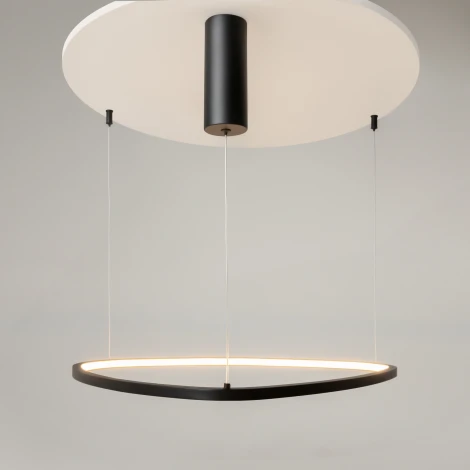 Подвесной светильник Maytoni Glint MOD072PL-L28B3K (LED, 220V, на тросе)