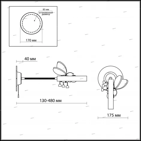 Бра Odeon Light Arli 2805/1W