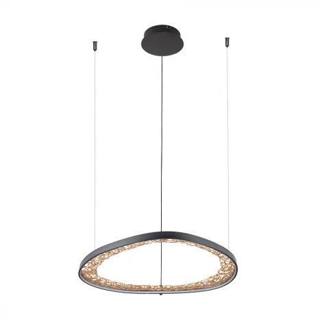 Подвесной светильник Arte Lamp Cinta A1847SP-36BK (LED, 220V, на тросе)