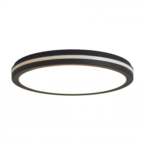 Потолочный светильник светодиодный Freya Rua FR6160CL-L40B 40Вт LED