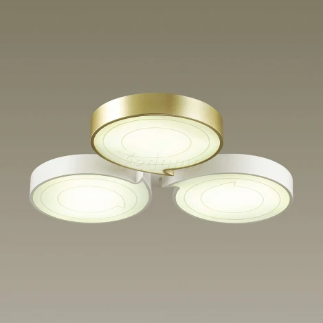 Потолочная люстра Lumion Dilip 3646/60CL
