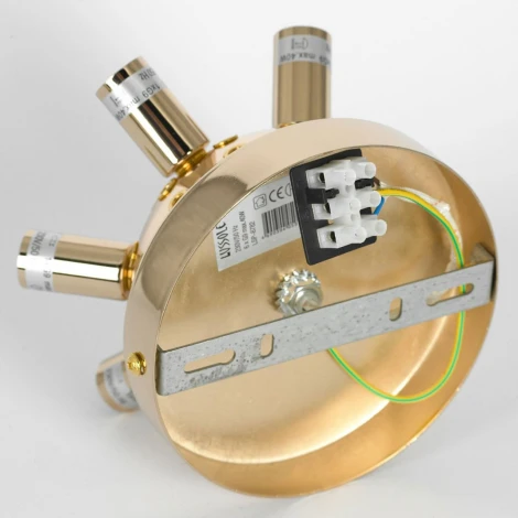 Потолочная люстра Lussole Дави SY2878